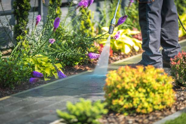 Best Patio and Deck Pressure Washing  in Cleveland, NC